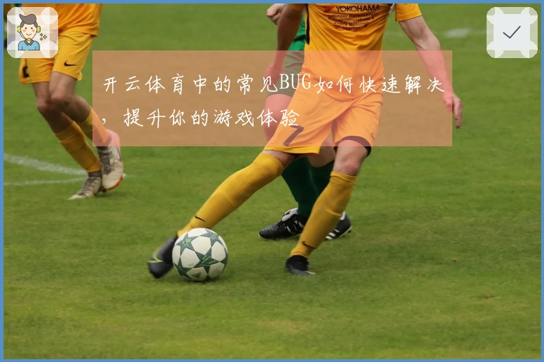 开云体育中的常见BUG如何快速解决，提升你的游戏体验
